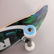 Real - Real Komplet Tropic Ovals Skateboard