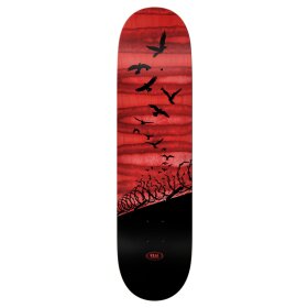 Real - Real Set Free Spectrum Skateboard