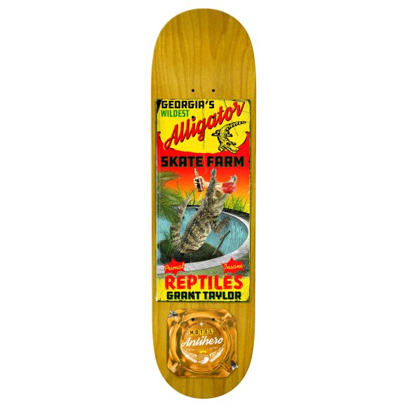 Antihero - Anti Hero Taylor Motel 18 Skateboard
